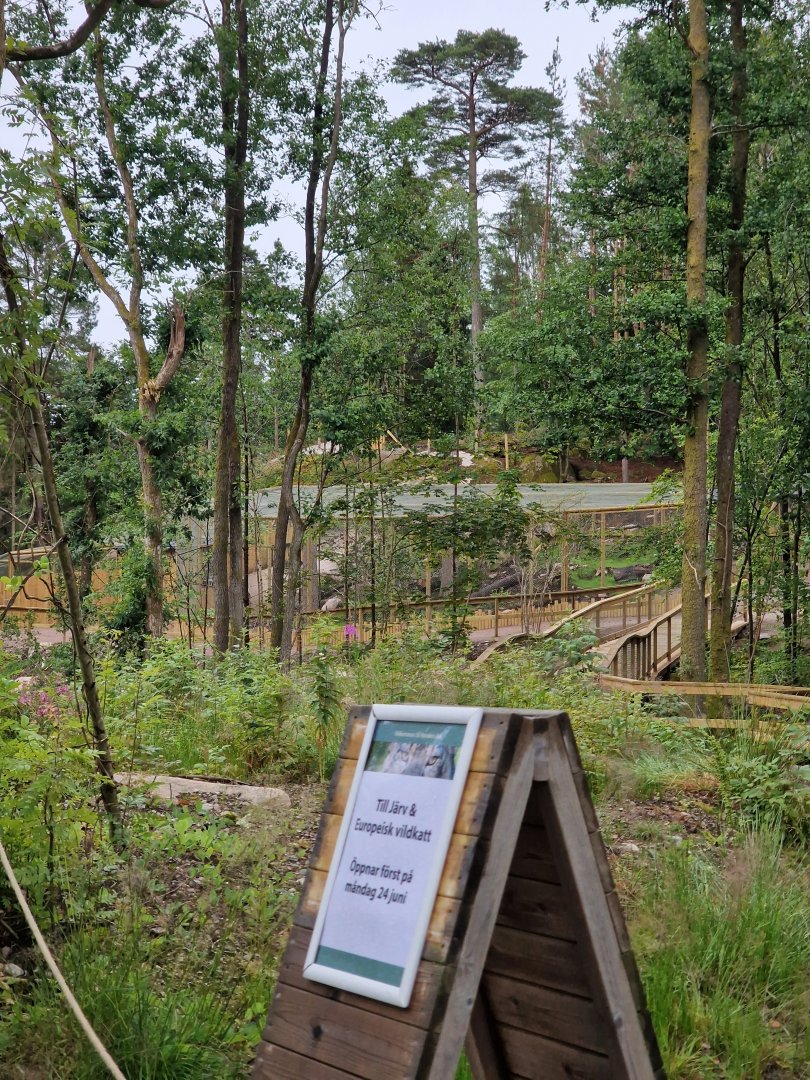 New exhibits on the way