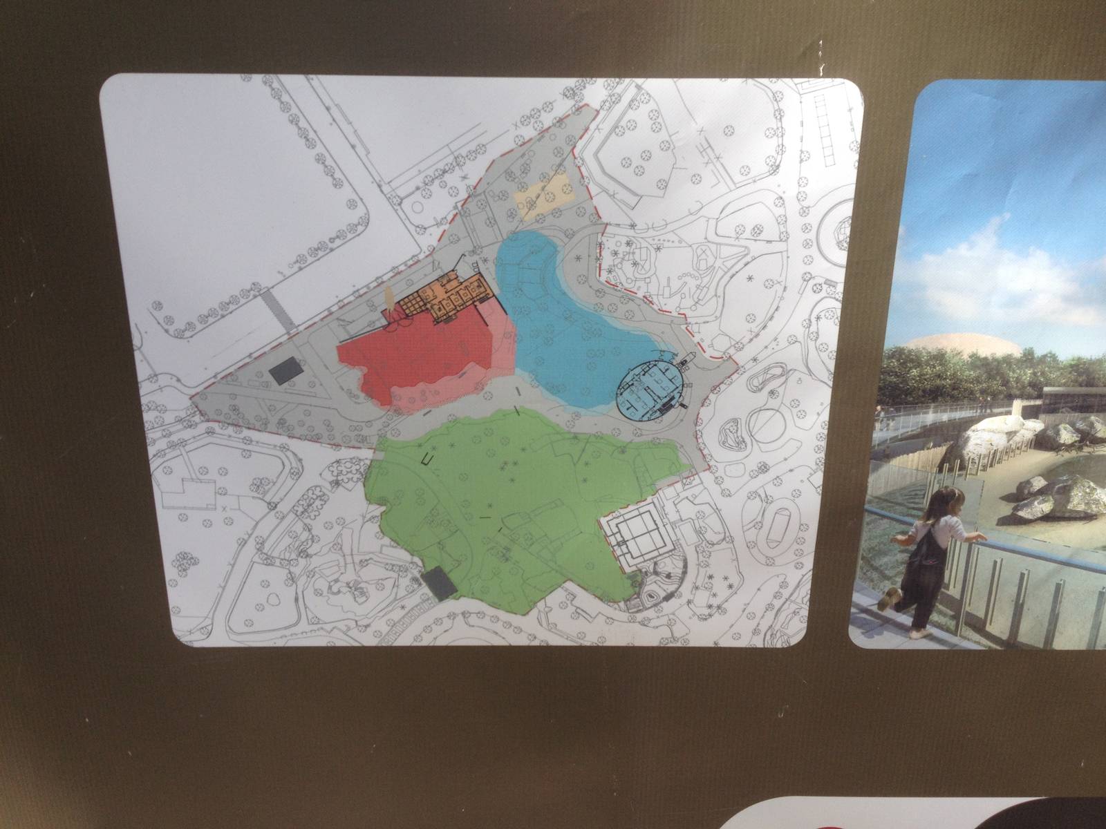 New exhibits plans for Elephants, Giraffes, Lions.