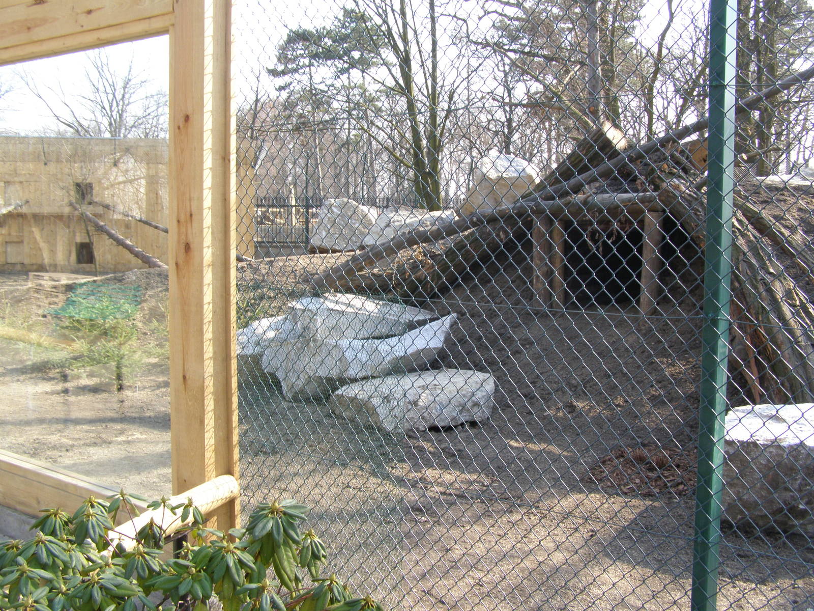 new exposure of lynxes