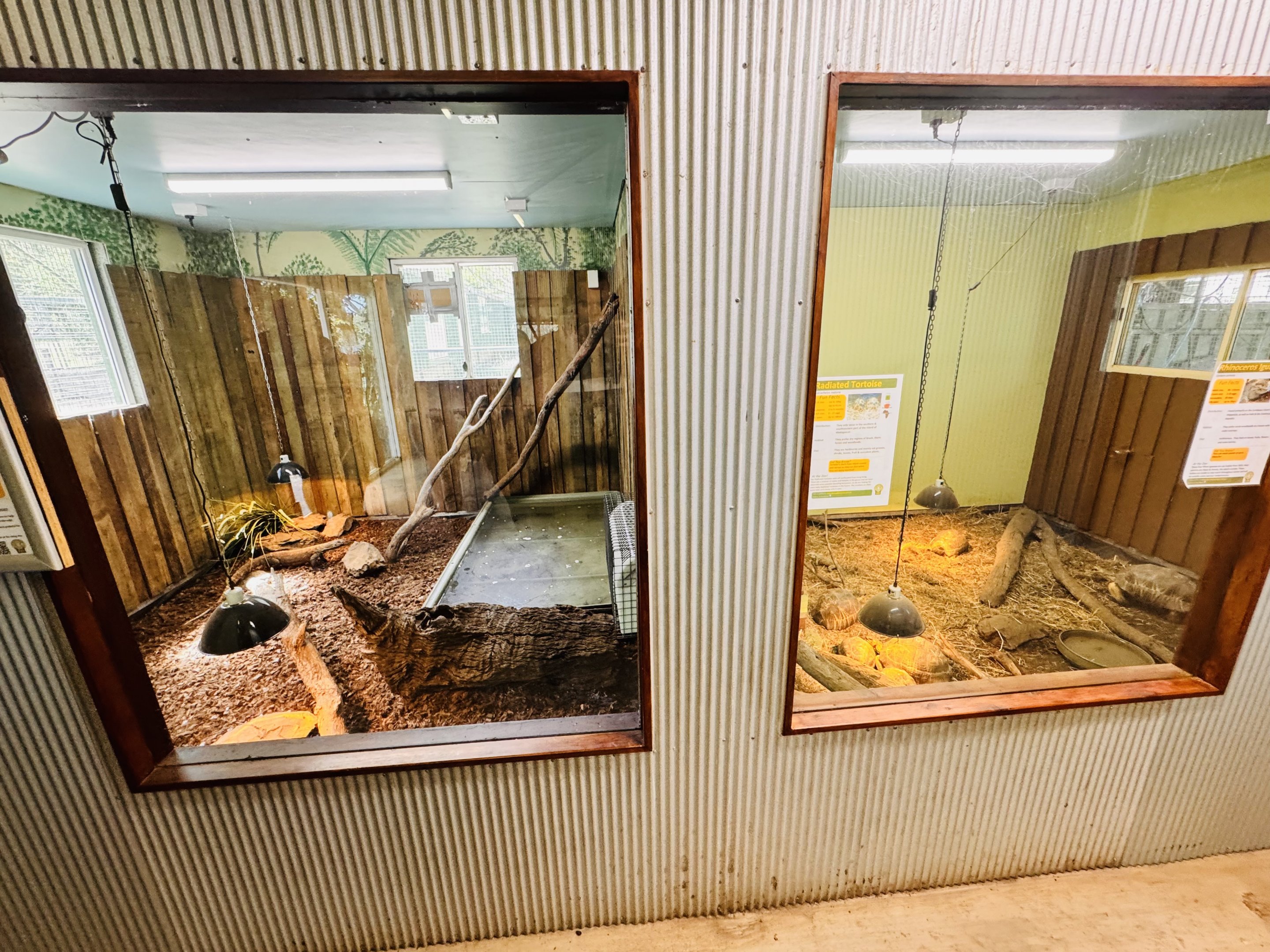 New extension in tropical reptile house
