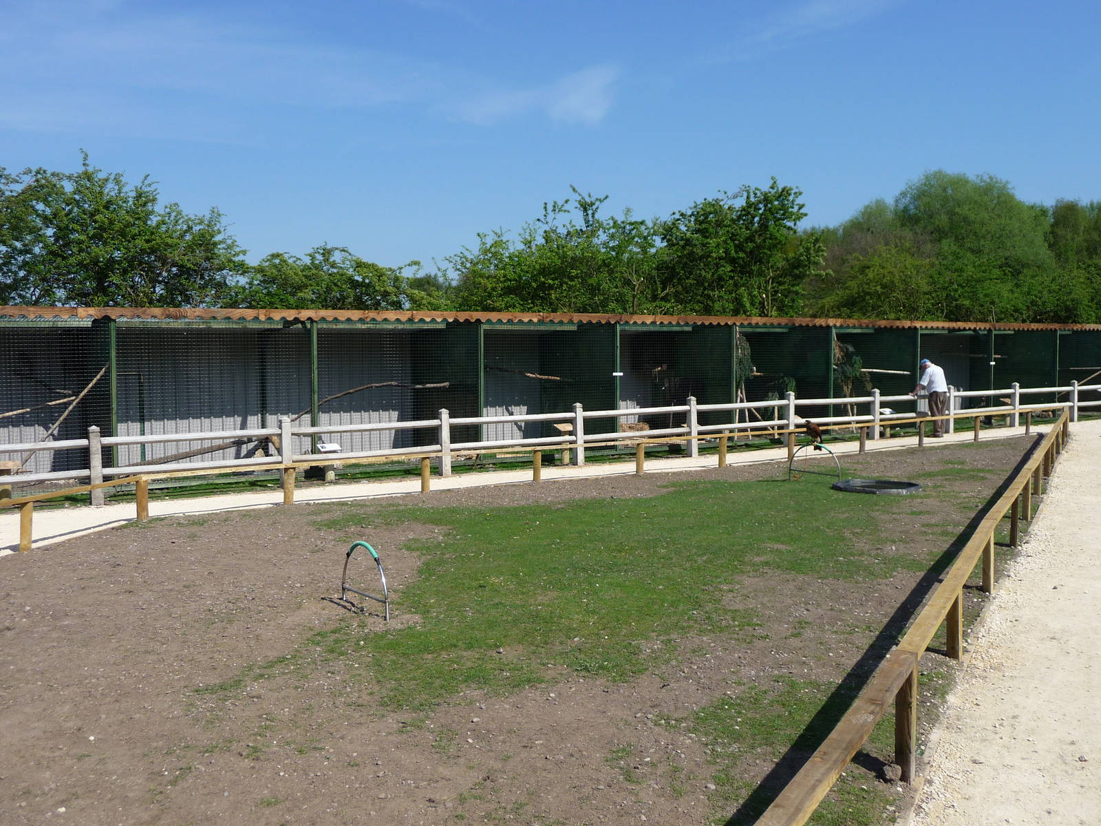 New Falconry aviaries