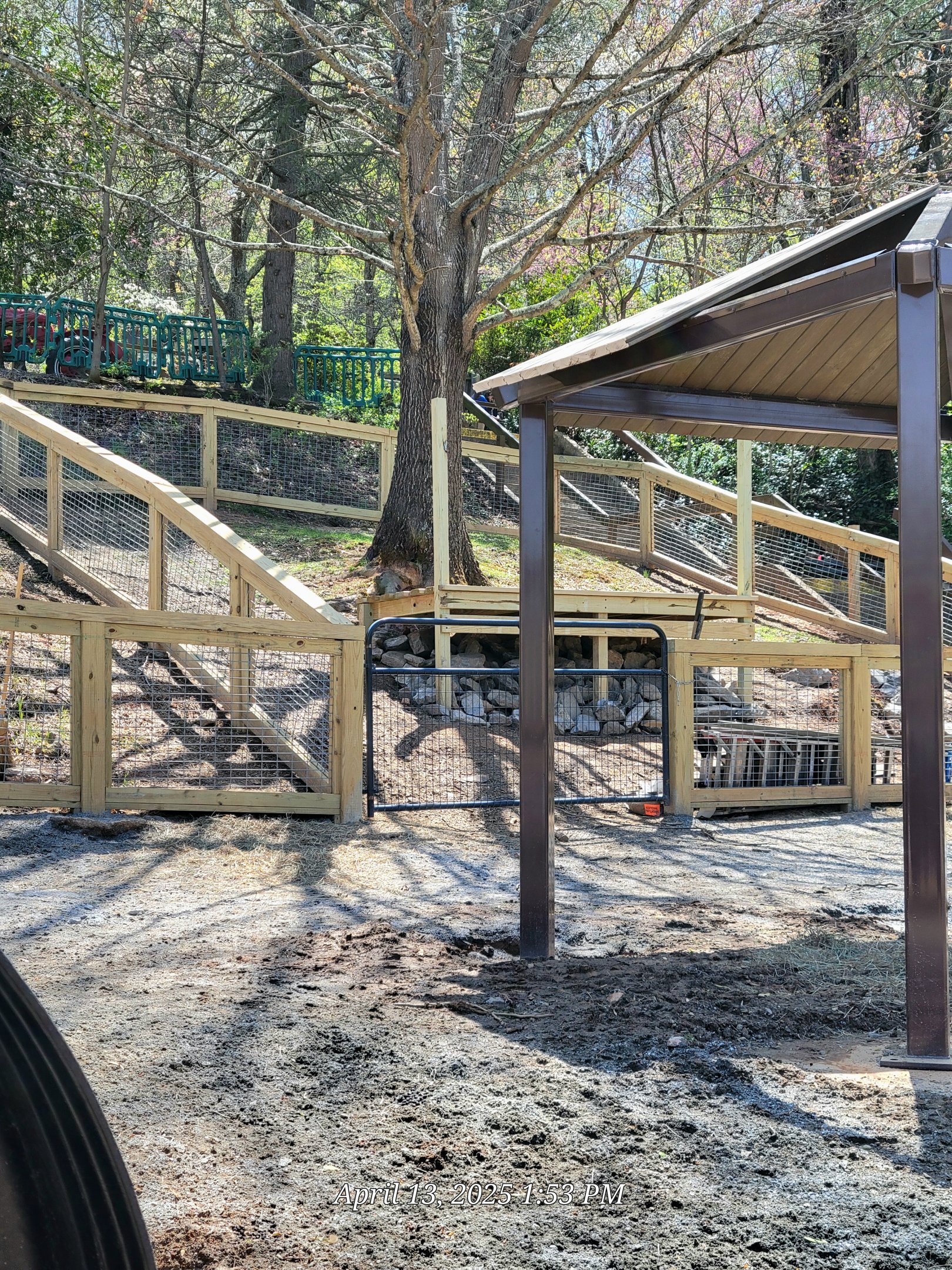 New Farmyard - April 2025