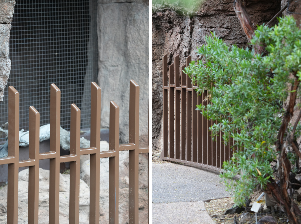 New fence in Mountain Woodlands