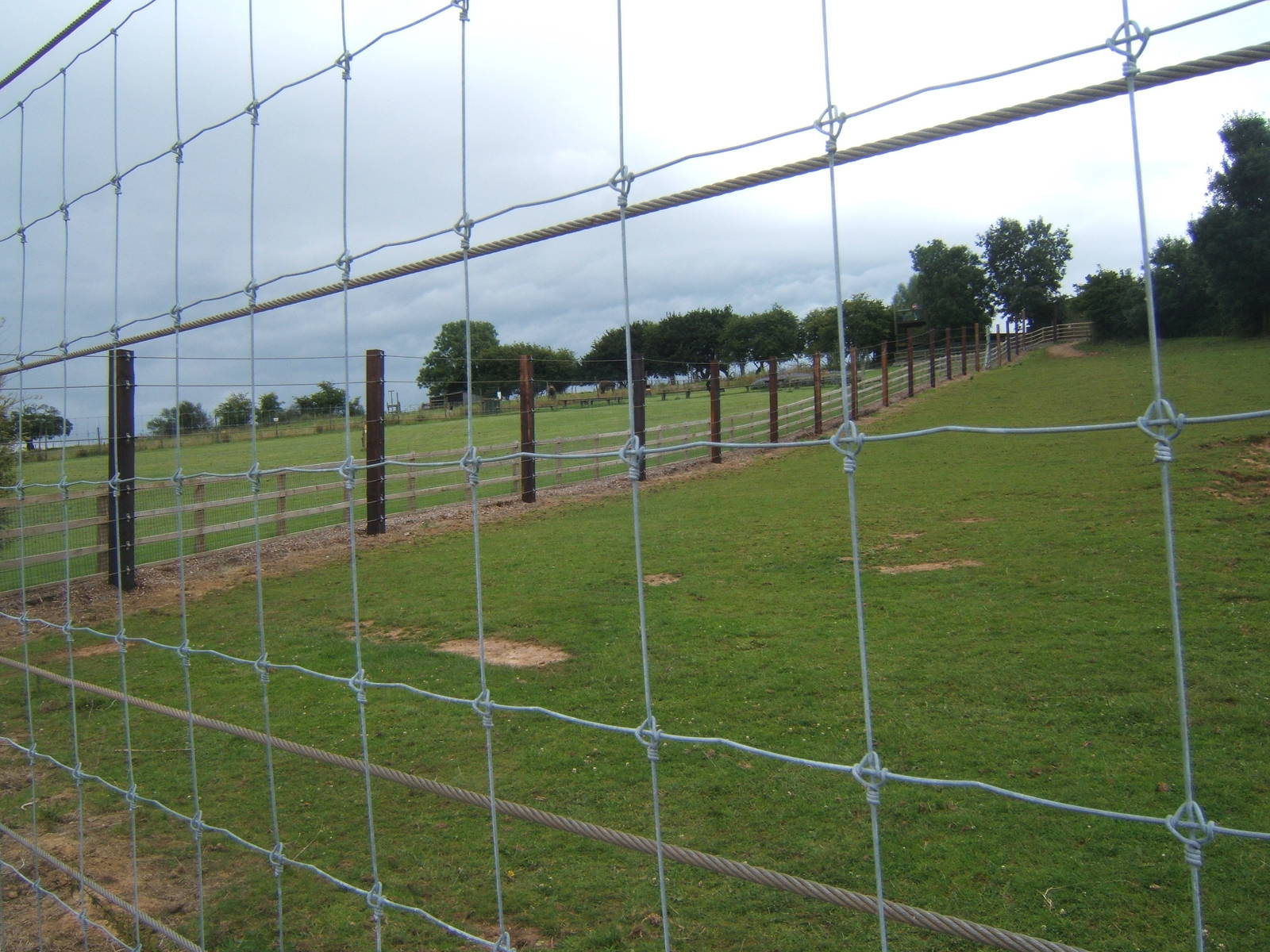 New fence round the White Rhino paddock