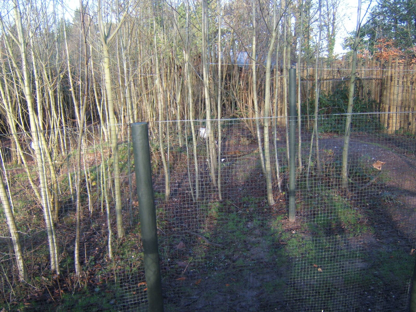 New fencing and wires over the crane enclosure