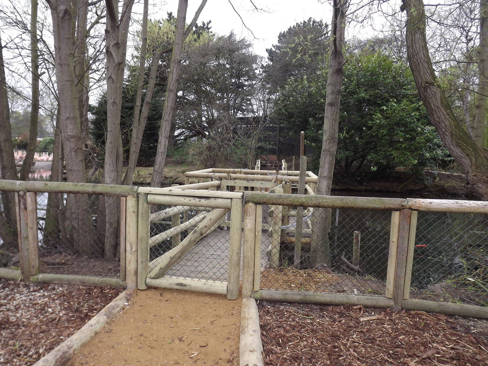 New fencing at Chester Zoo 31/03/12