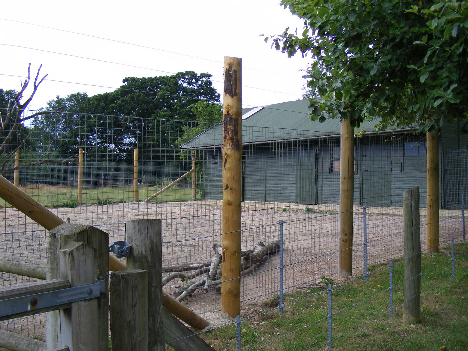 New fencing for wildebeest enclosure at Marwell Wildlife, 10 July 2009