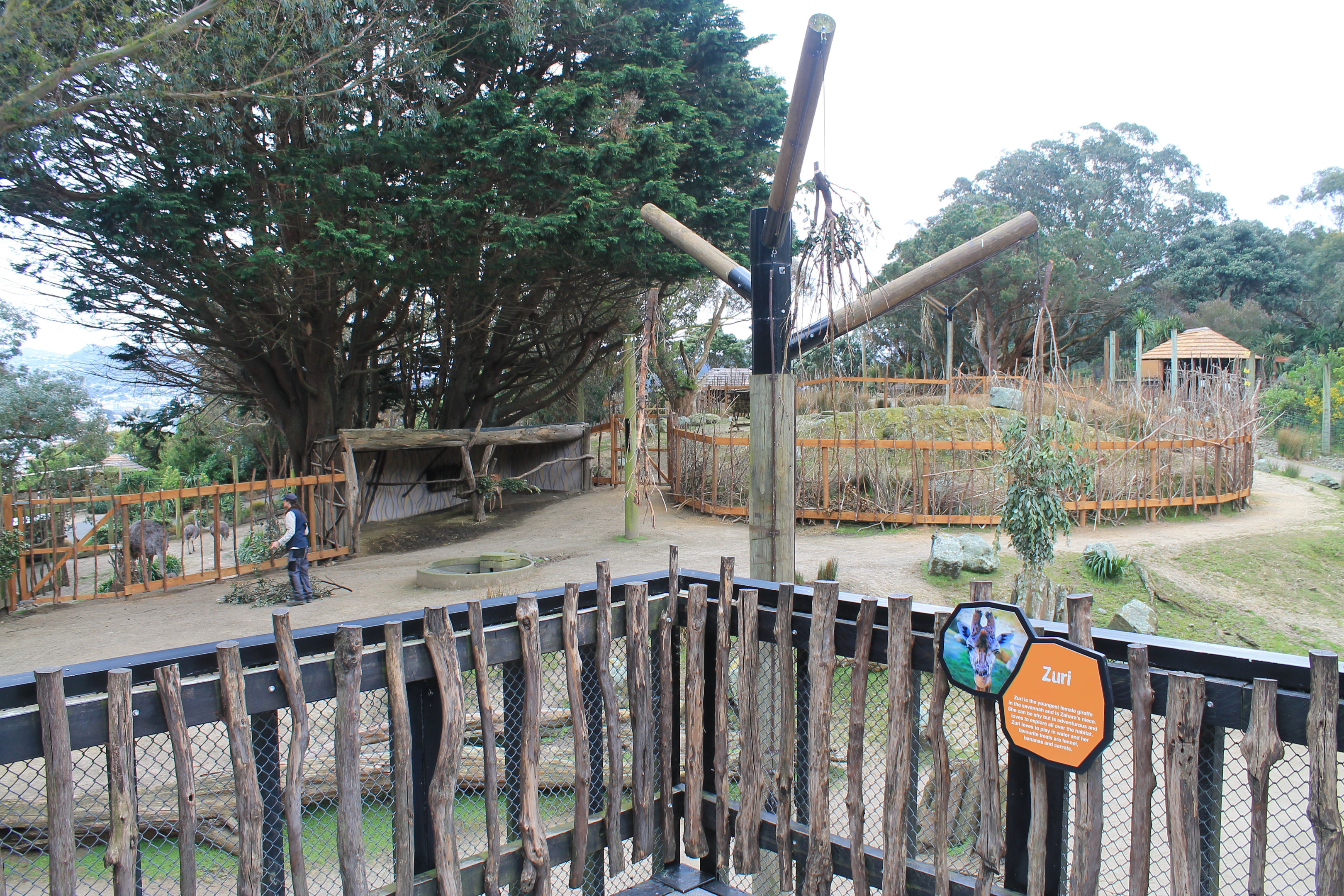 new fencing in African Savannah enclosure