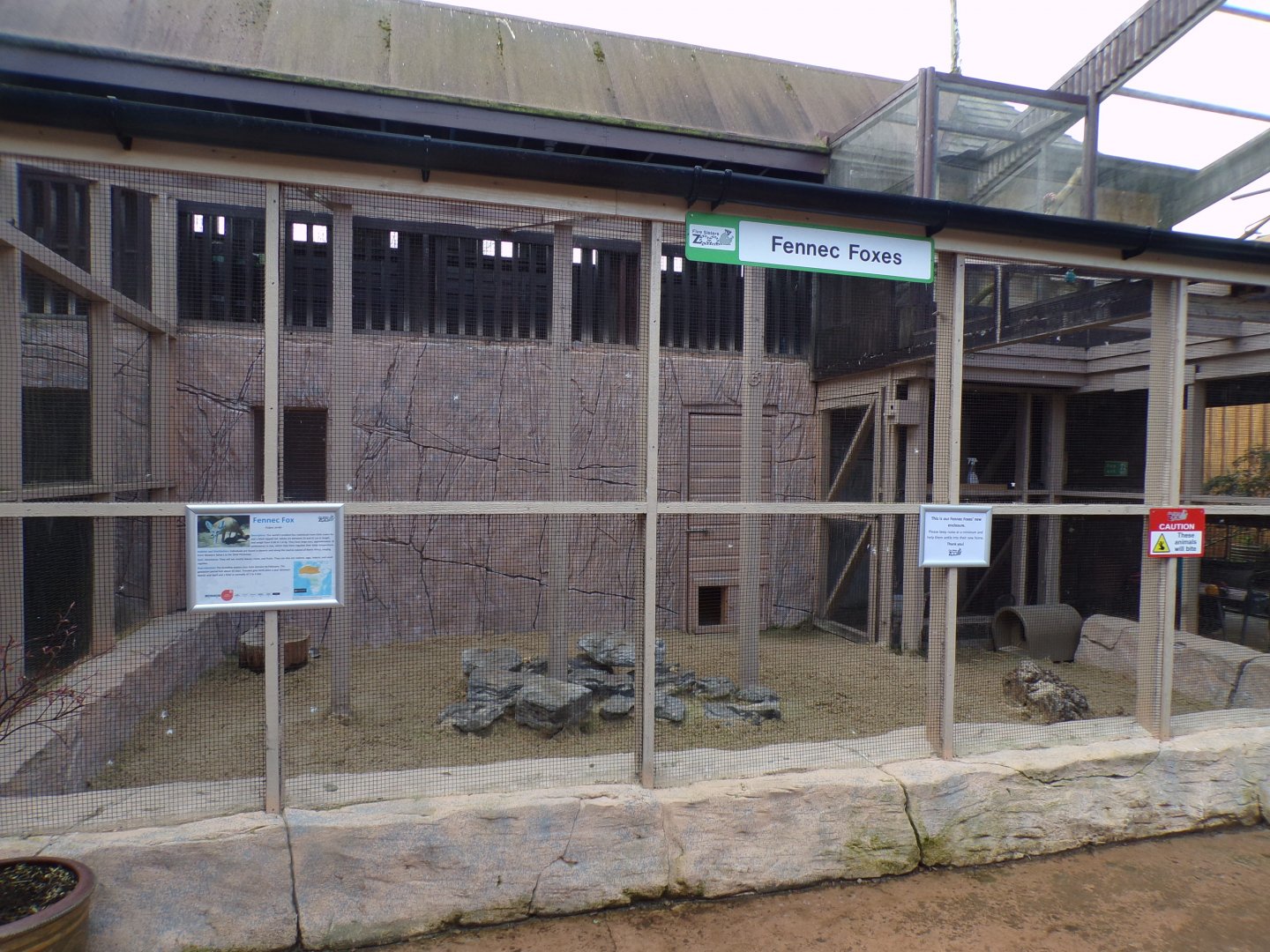 New fennec fox enclosure 12.4.24