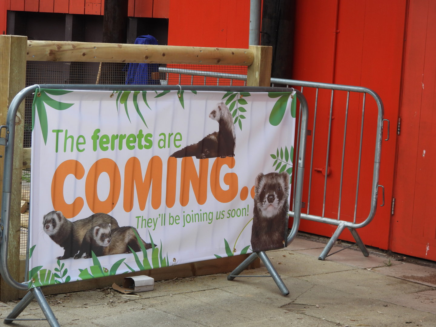 New Ferret exhibit banner in the Farmyard area- 7th August 2023