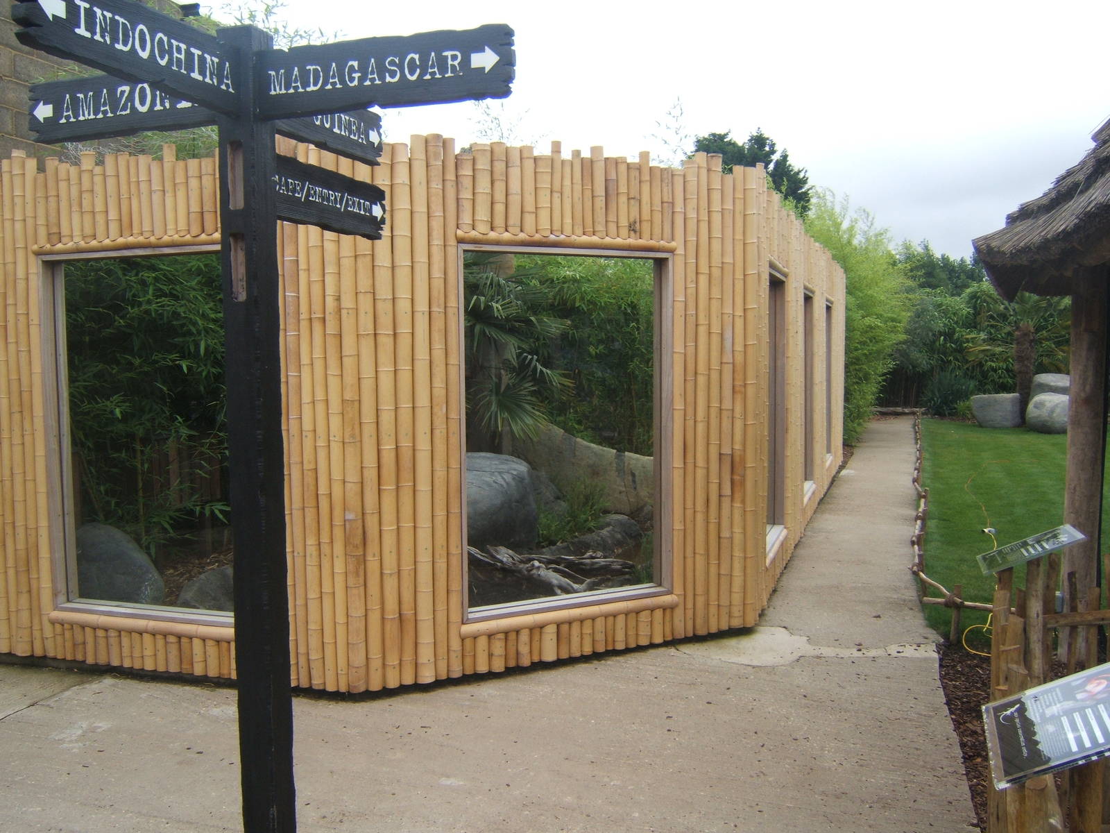 New Fishing Cat enclosure