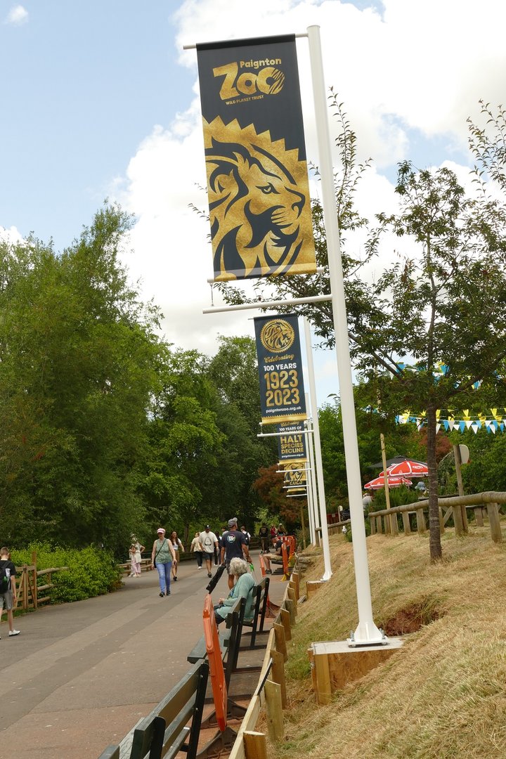 New flag poles, June 2023