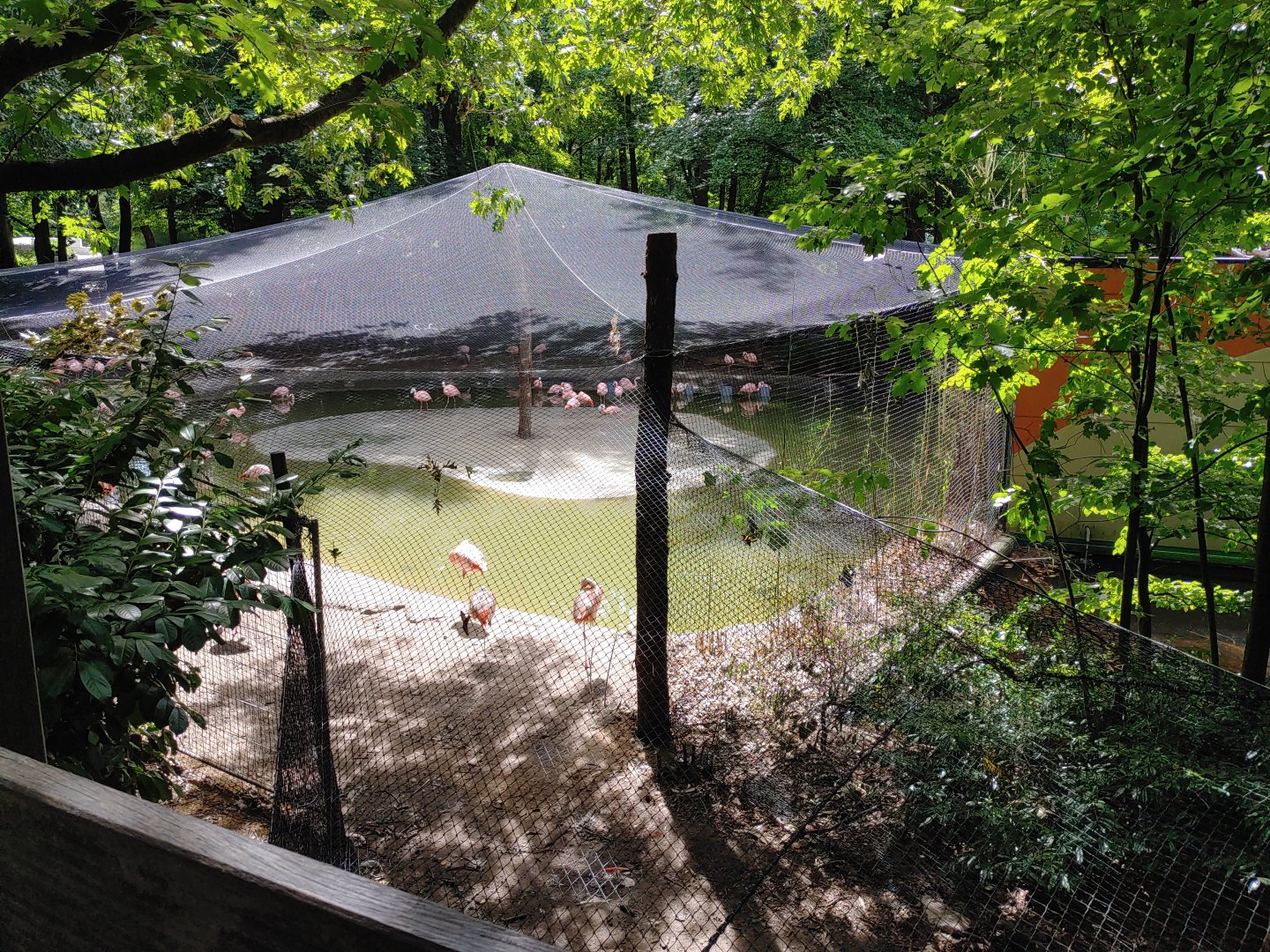 New flamingo aviary