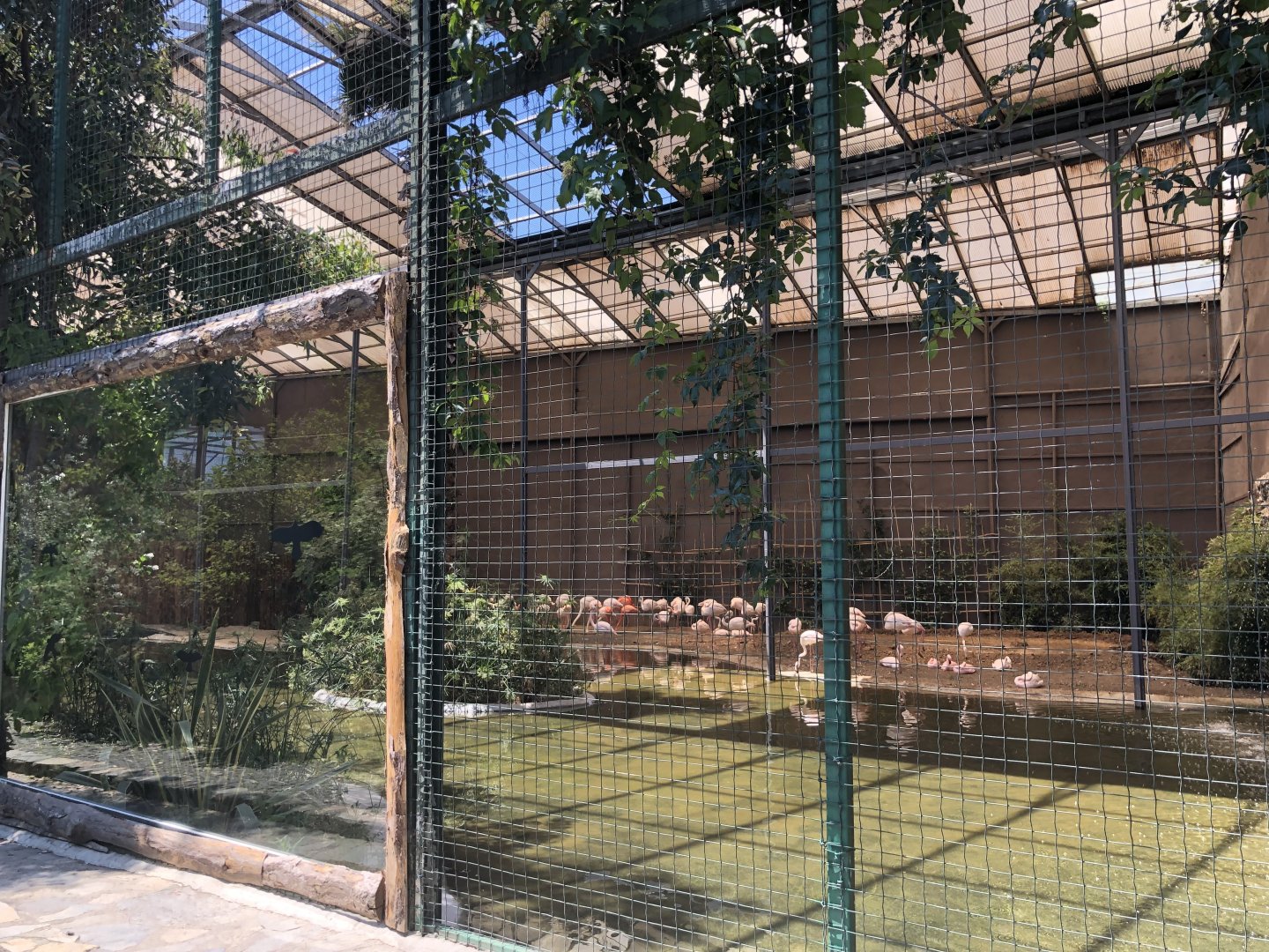 New flamingo aviary
