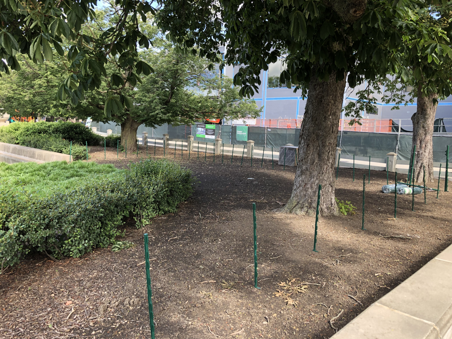 New Flamingo barrier being built.