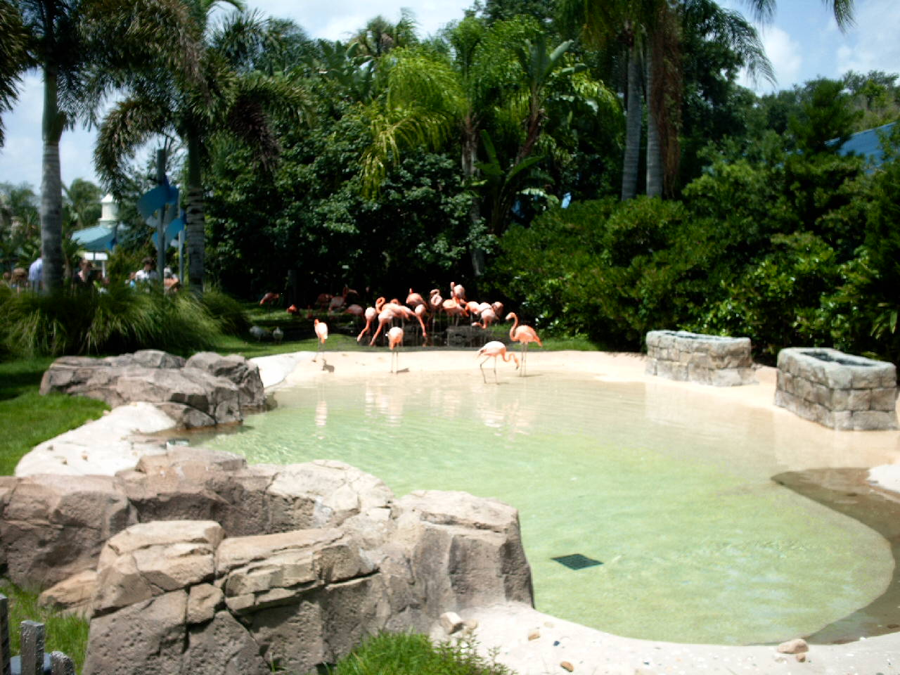 New Flamingo enclosure