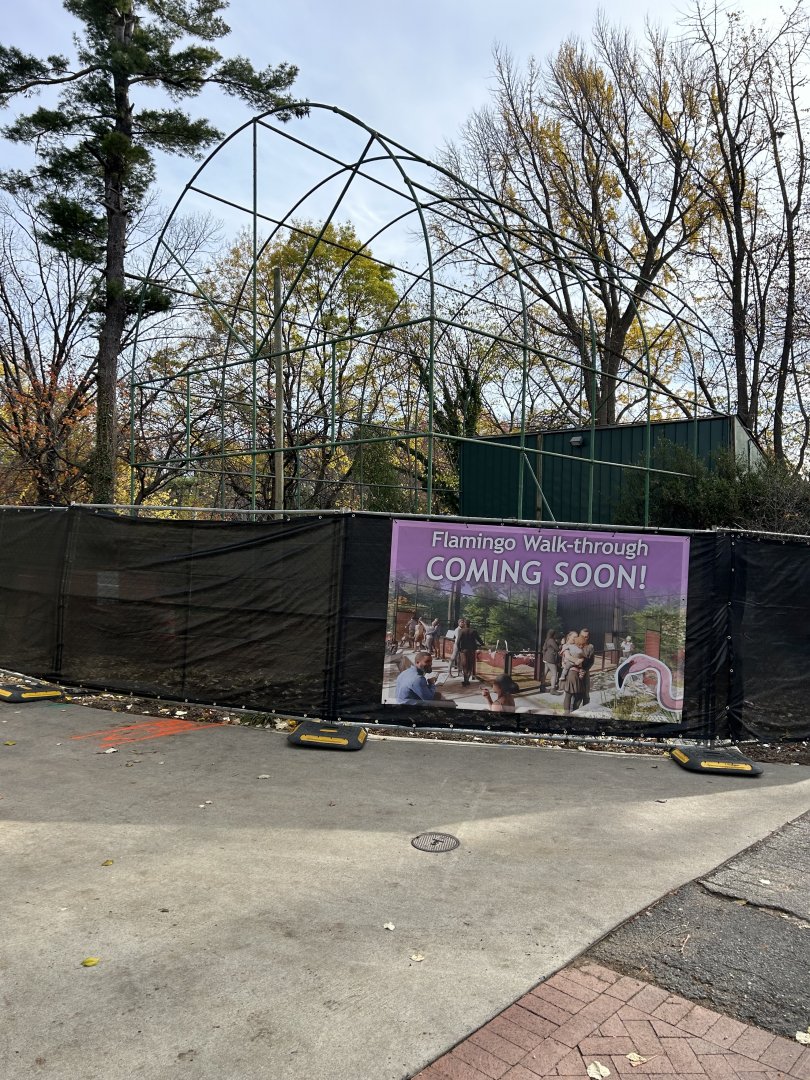 New Flamingo Exhibit