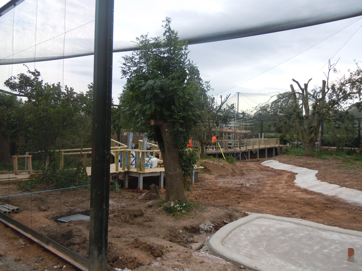 New flamingo/Roseate spoonbill/Scarlet ibis walkthrough aviary 110920