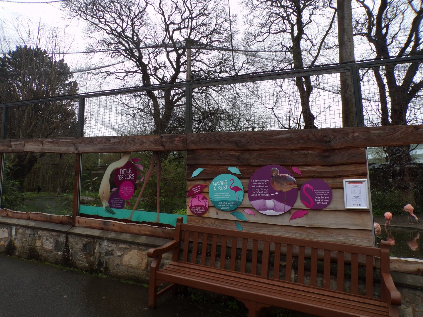 New flamingo signage 9.4.24