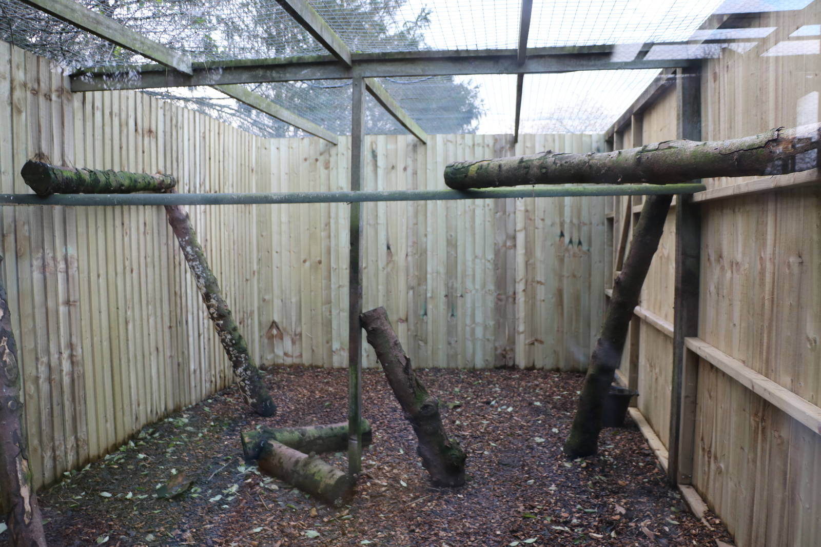 New flying squirrel outdoor enclosure, November 2015