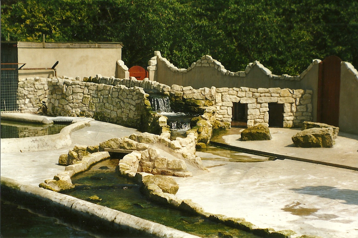 New for 1998 - Penguin Pool 9th May 1998