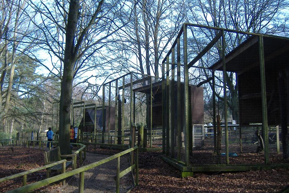 New Forest Otter Centre aviaries