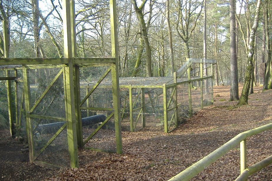New Forest Otter Centre Marten cages