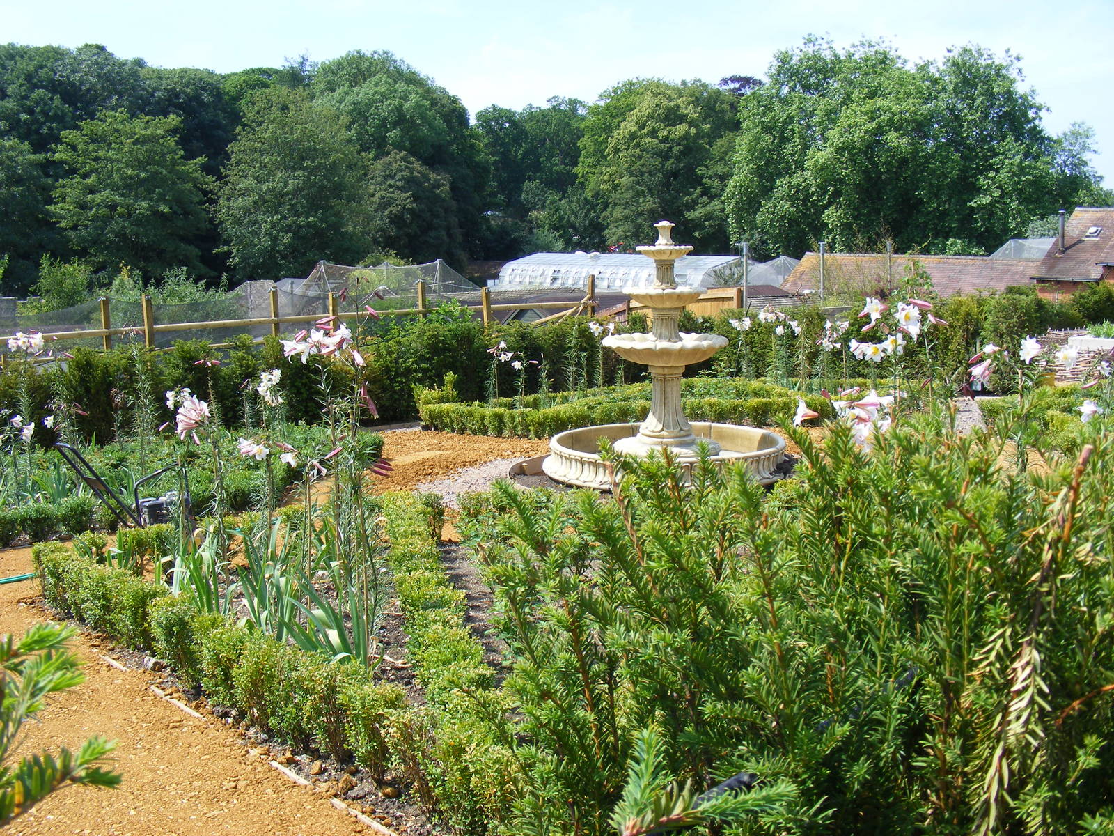 New formal garden at Marwell Wildlife, 27 June 2010