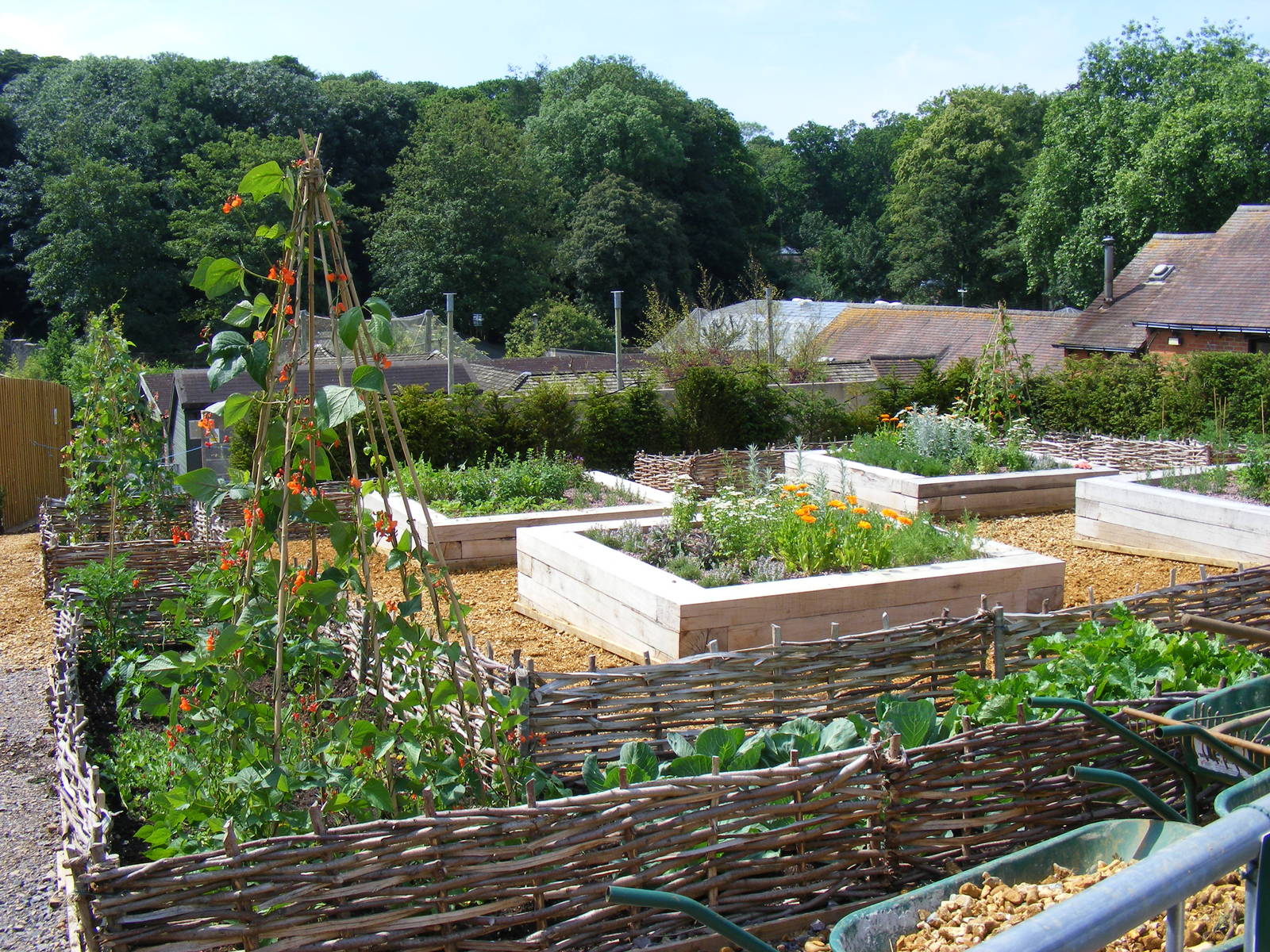 New formal garden at Marwell Wildlife, 27 June 2010