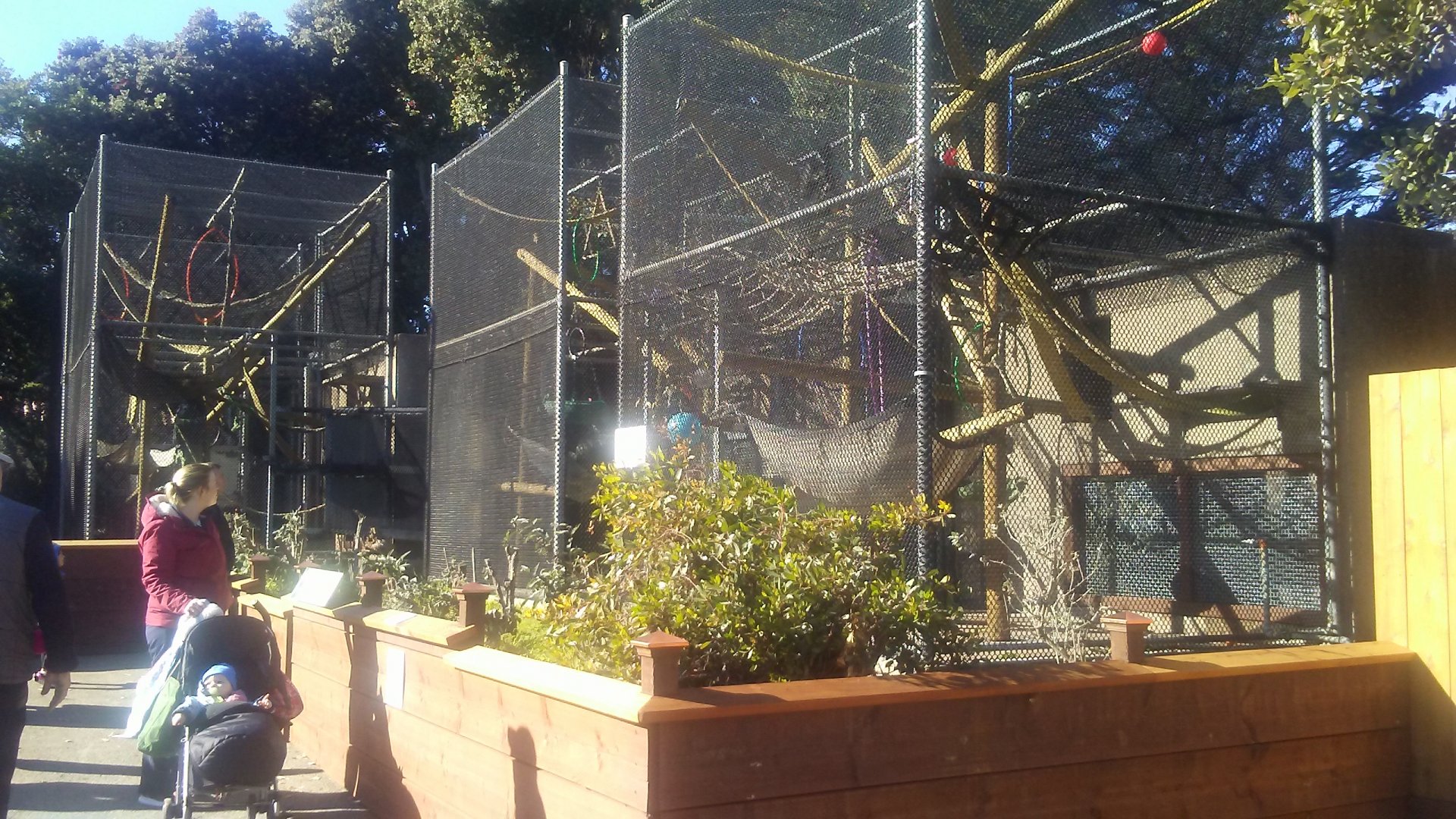 New François' langur exhibits