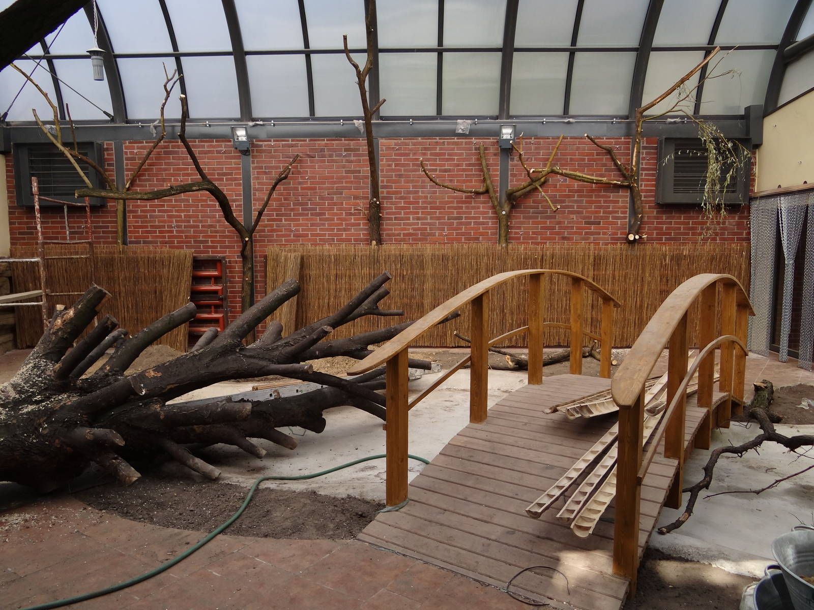 New Free-flight aviary/Crocodile house