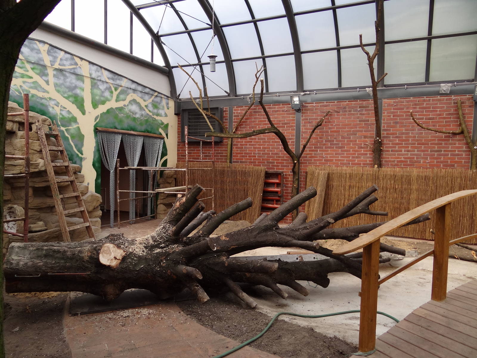 New Free-flight aviary/Crocodile house