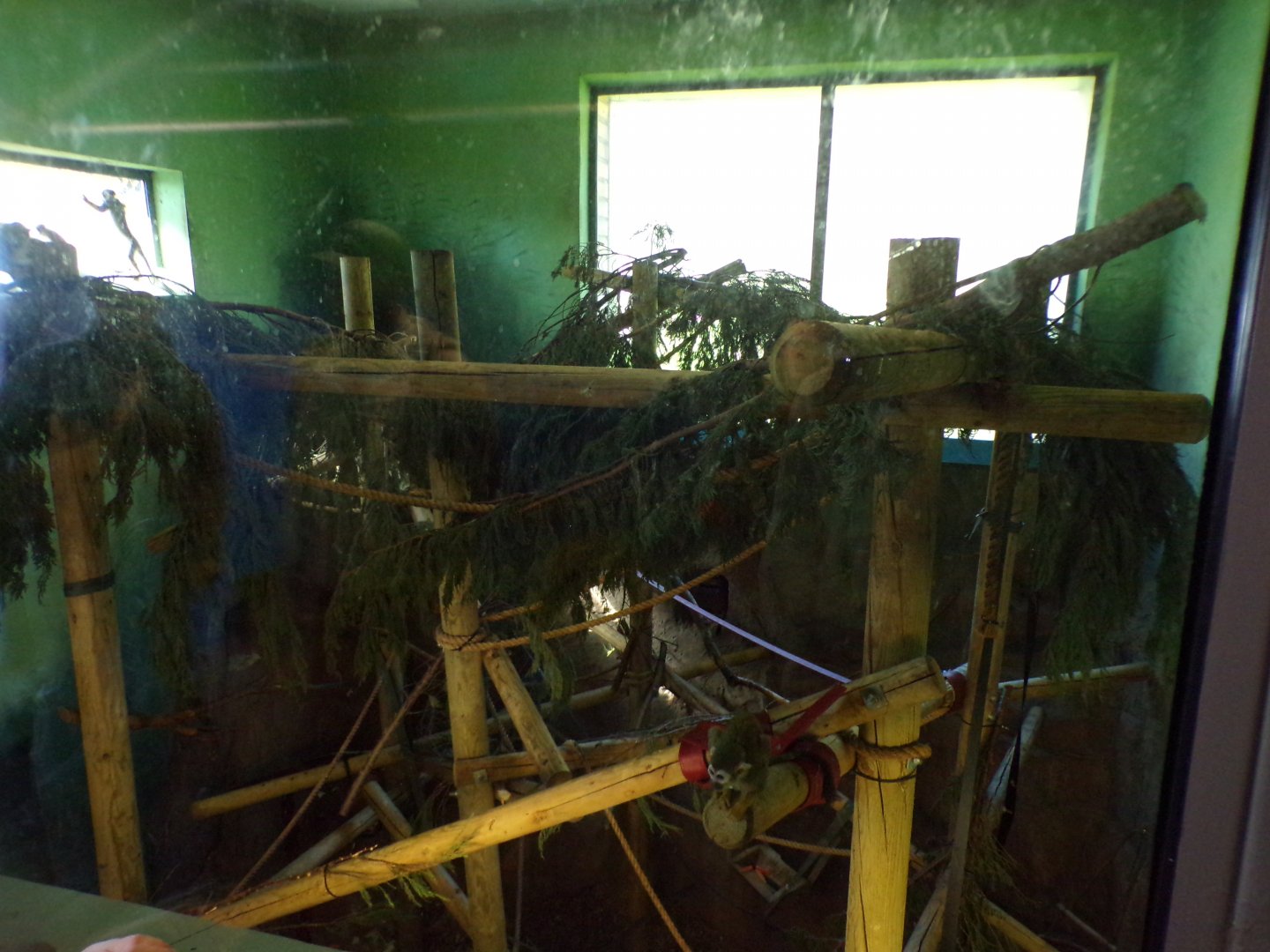 New furnishings in capuchin indoor area 20.4.25