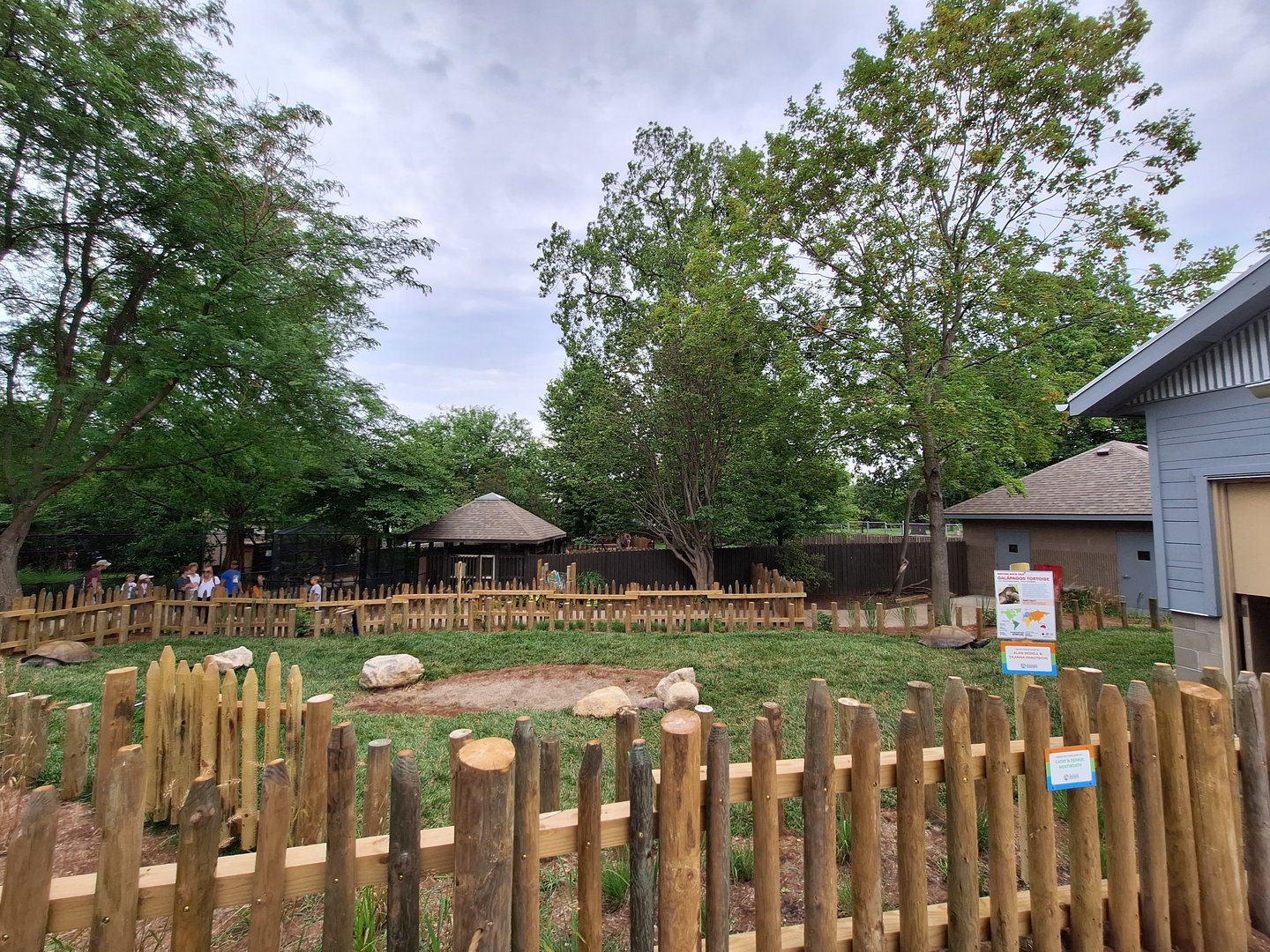 New Galapagos Tortoise Exhibit