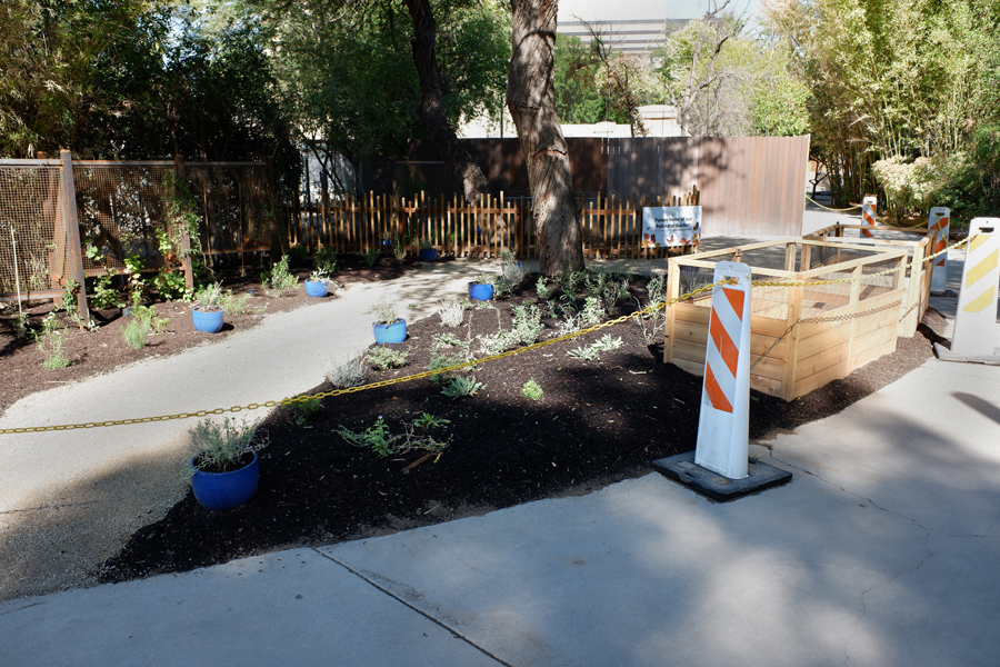 new garden (former Aldabra tortoise exhibit)