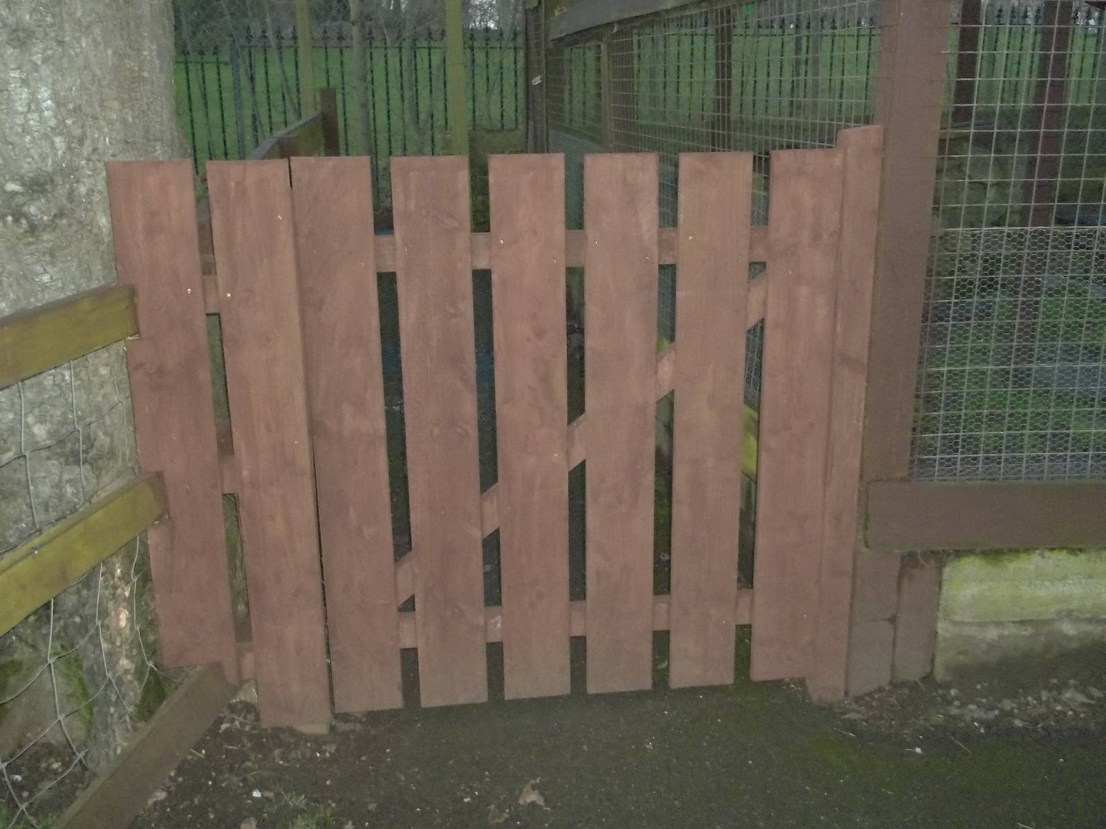 New gate at side of Raccoon Dog exhibit, 12th December 2014