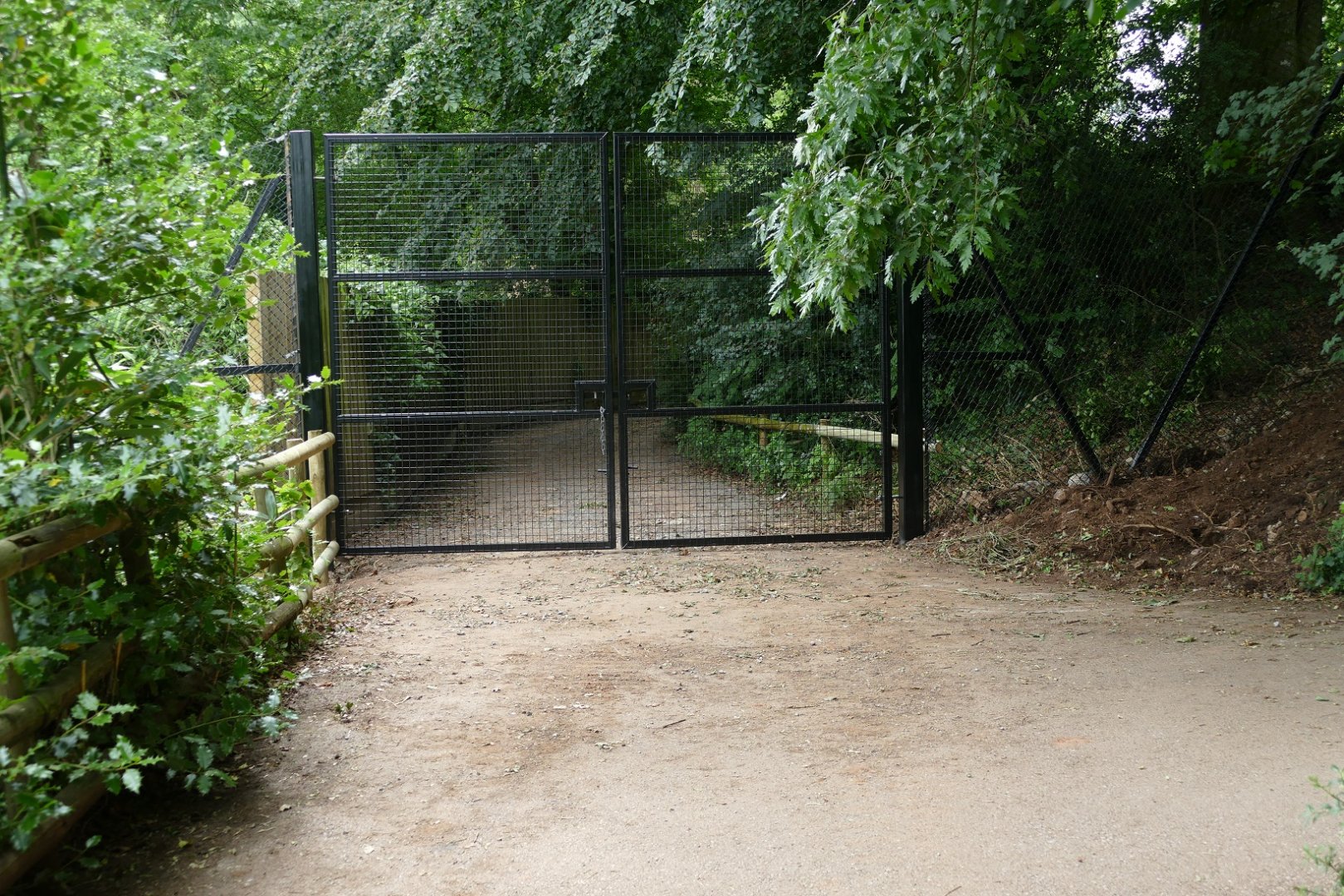 New gate on the path to the quarry, July 2019