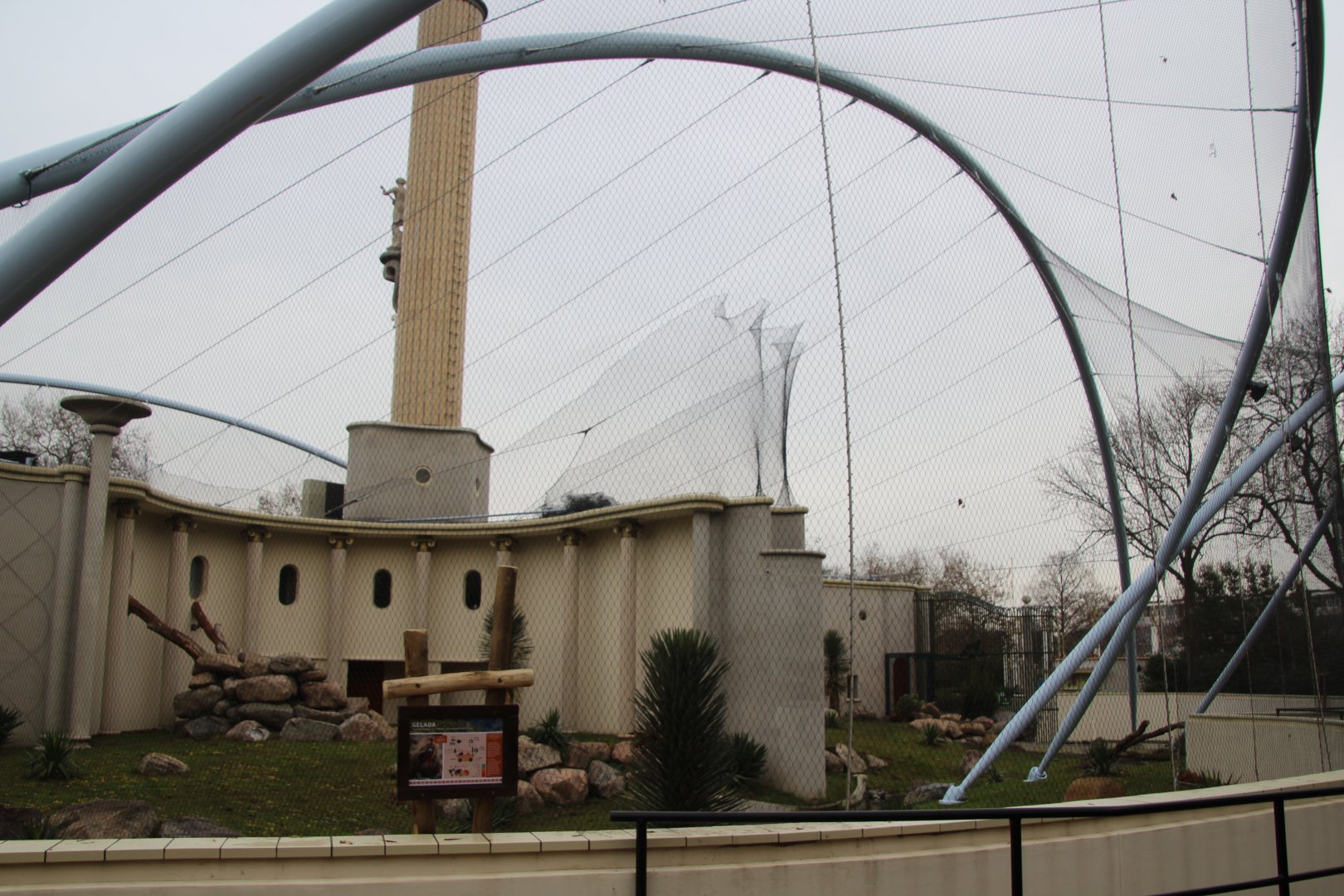 New Gelada Enclosure - December 2018