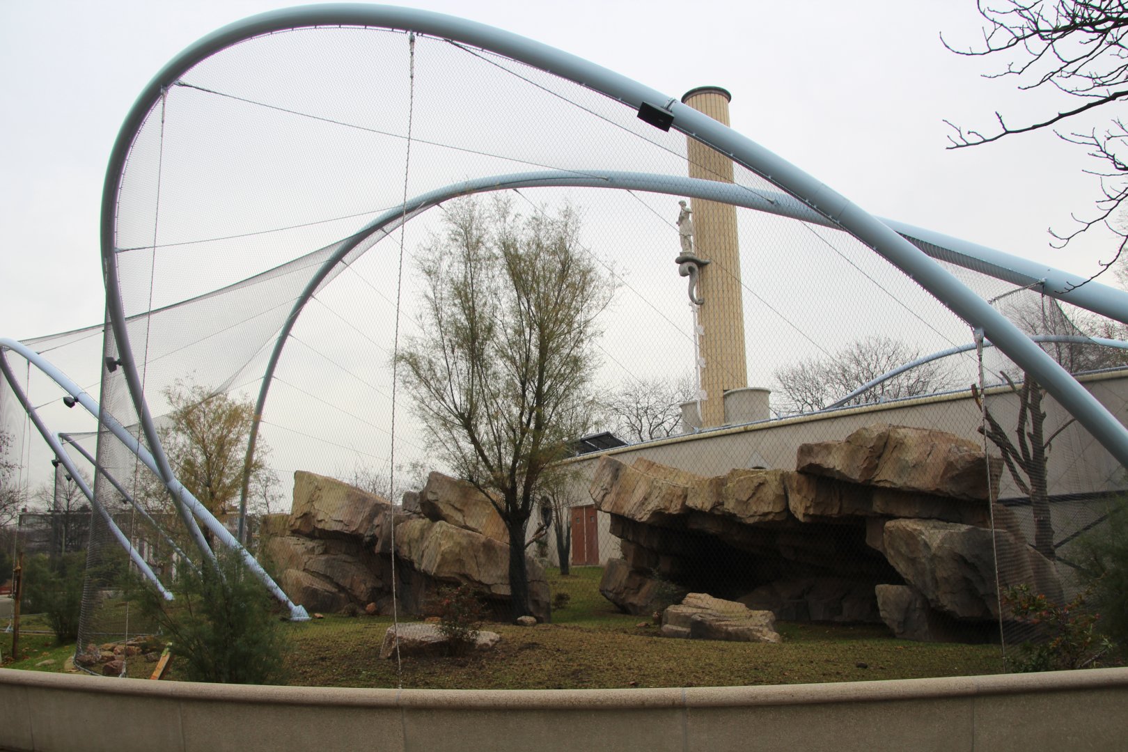 New Gelada Enclosure - December 2018