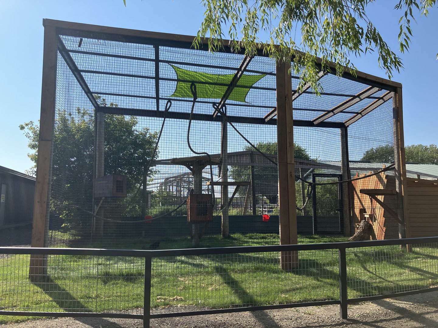 New Geoffroy’s Spider Monkey Exhibit