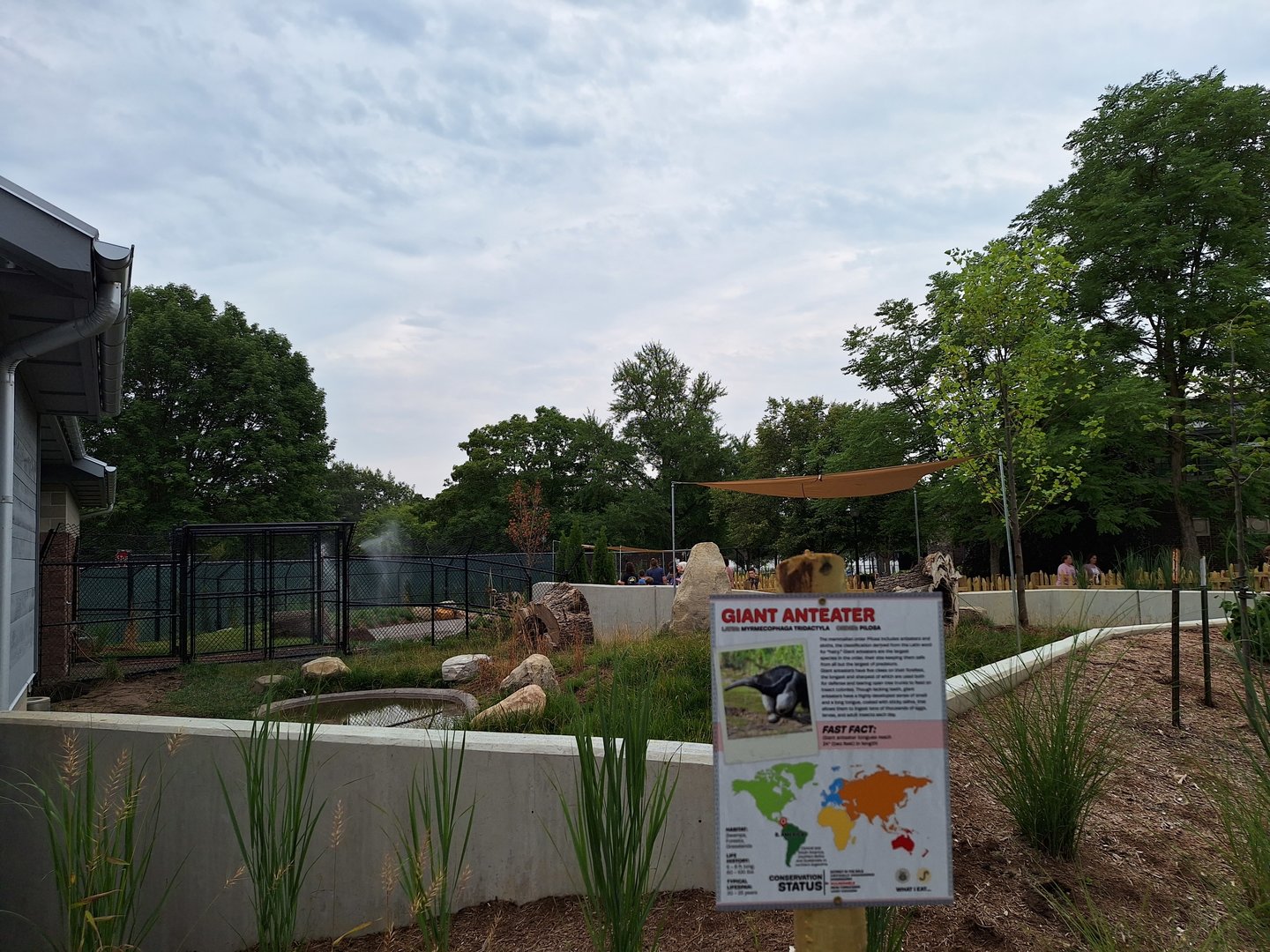 New Giant Anteater Exhibit
