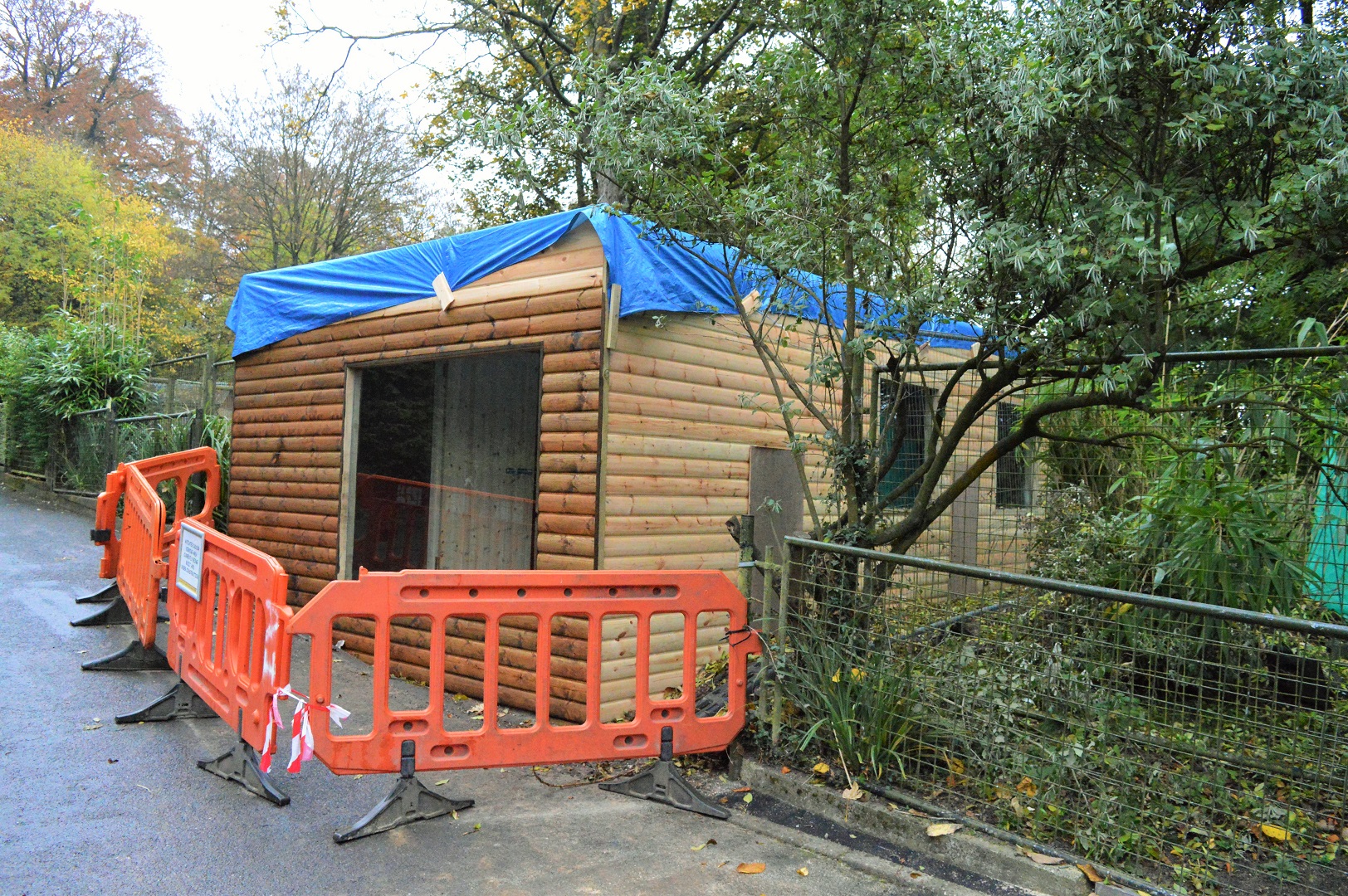 New giant anteater house