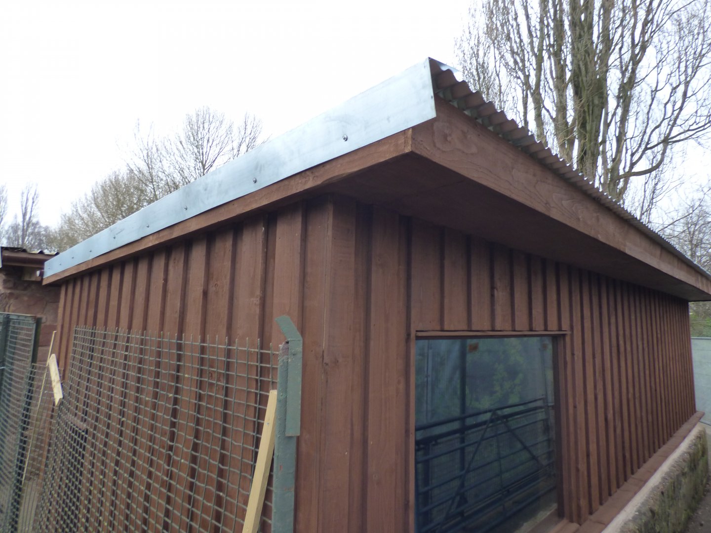 New Giant Anteater House