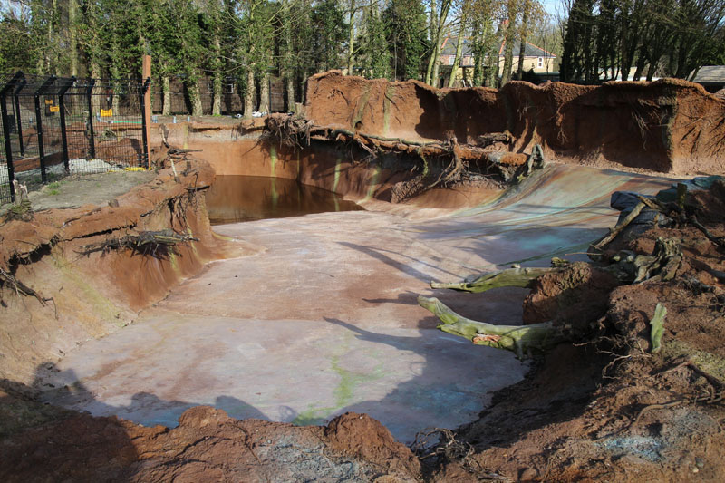 new giant otter exhibit