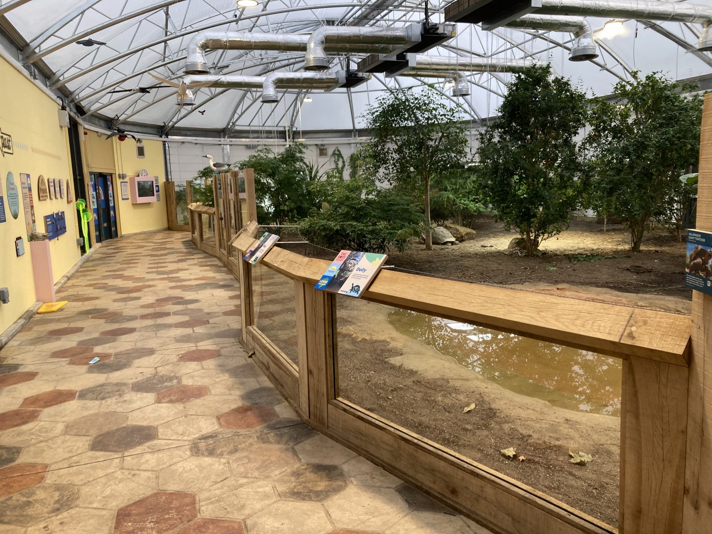 New - Giants of the Galapagos