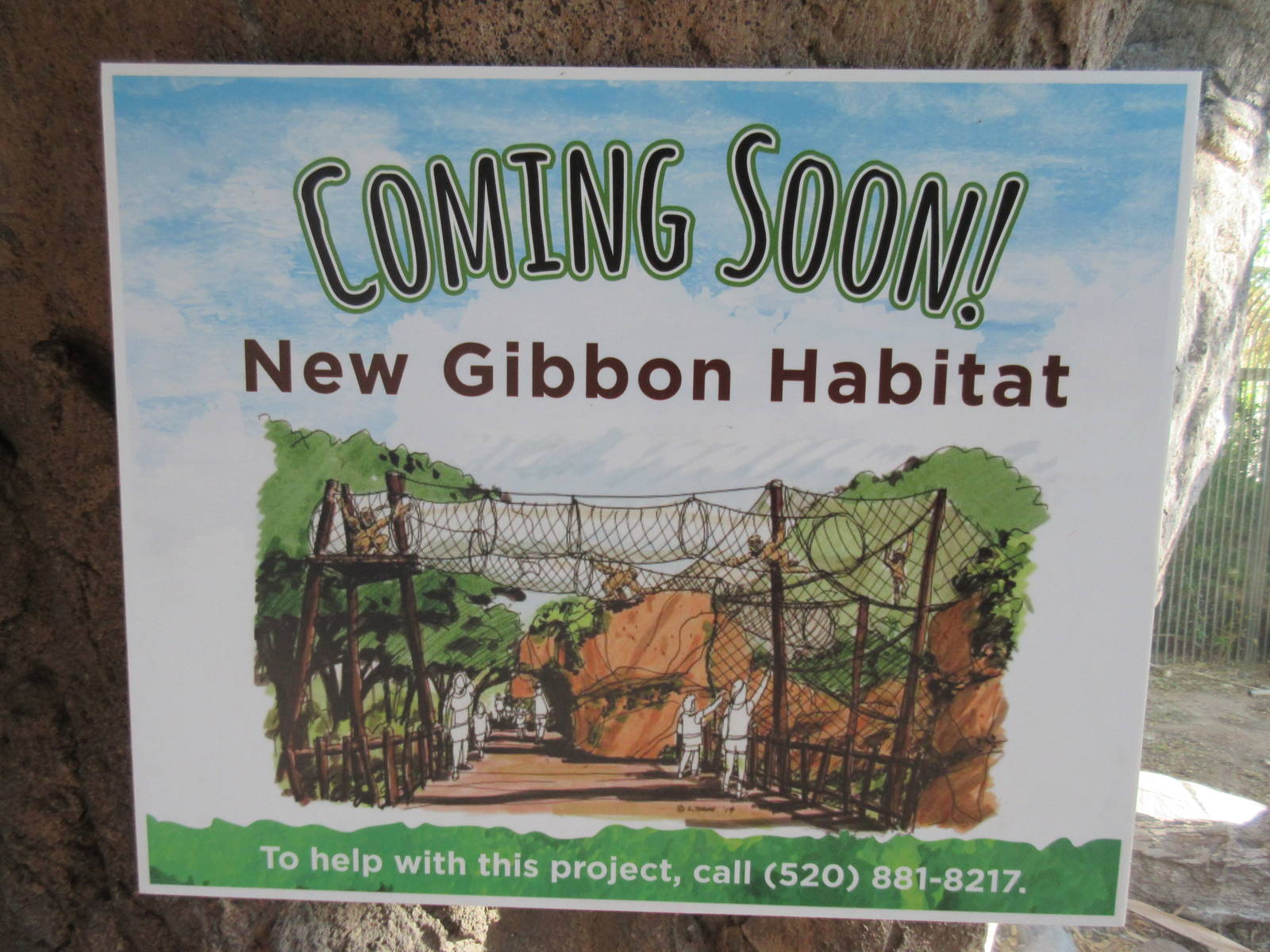 New Gibbon Exhibit (Feb. or Mar. 2016)