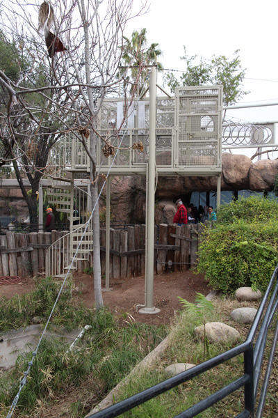 New gibbon exhibit