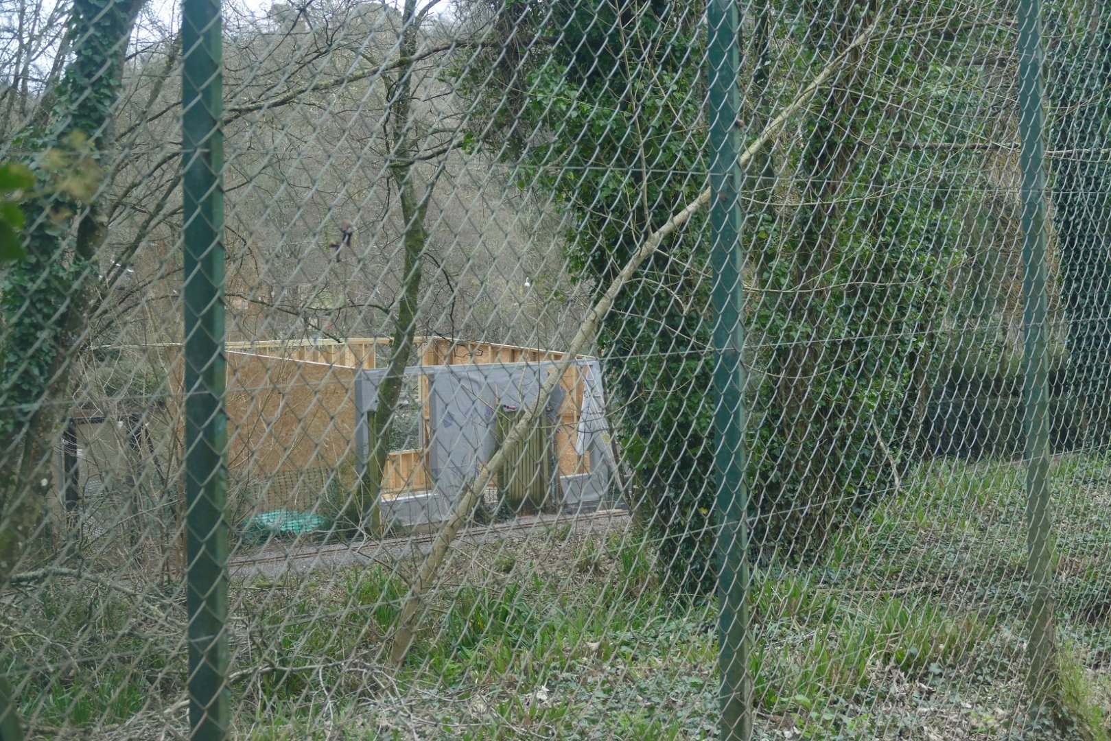 New gibbon house? January 2019