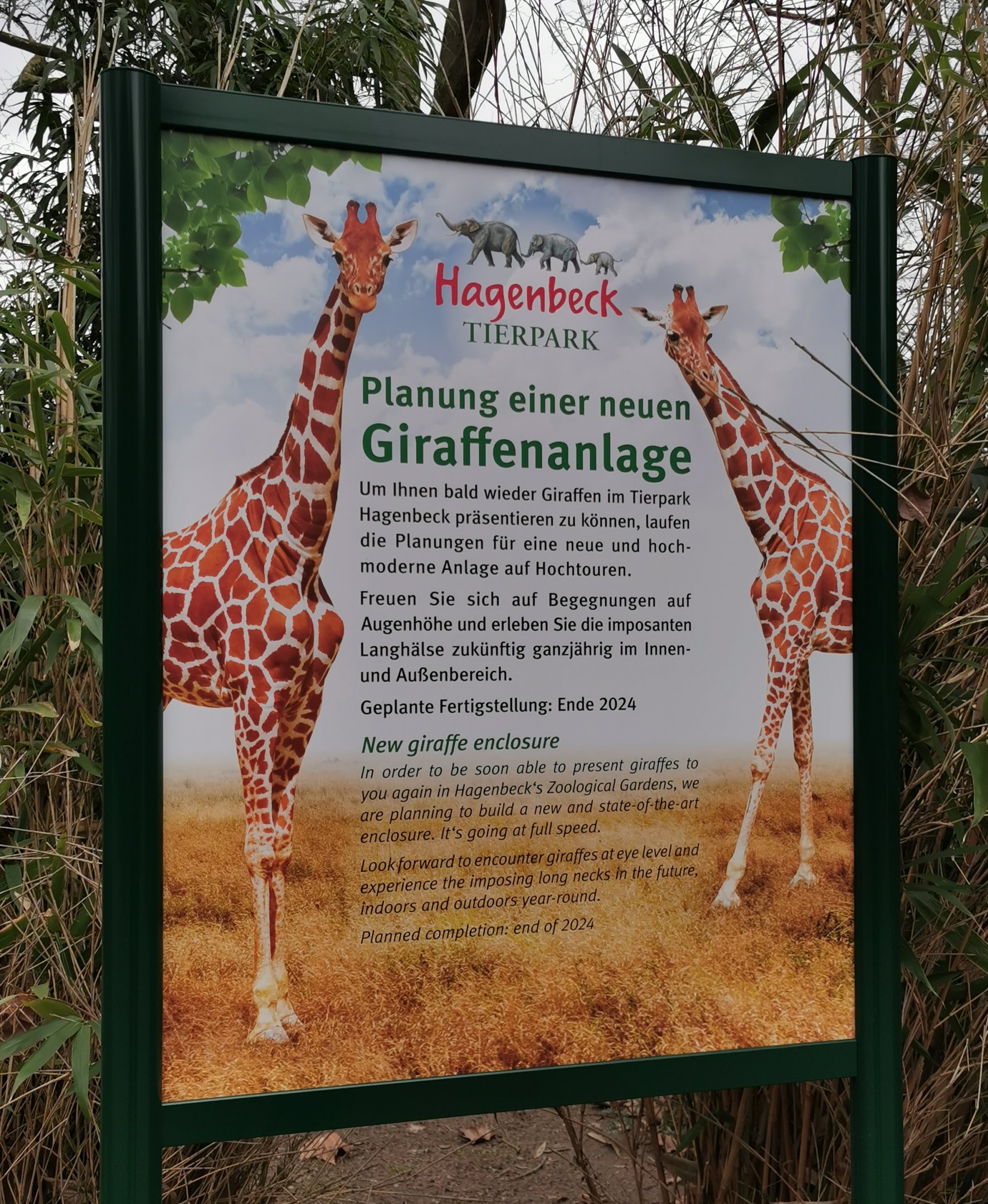 New giraffe enclosure 2024