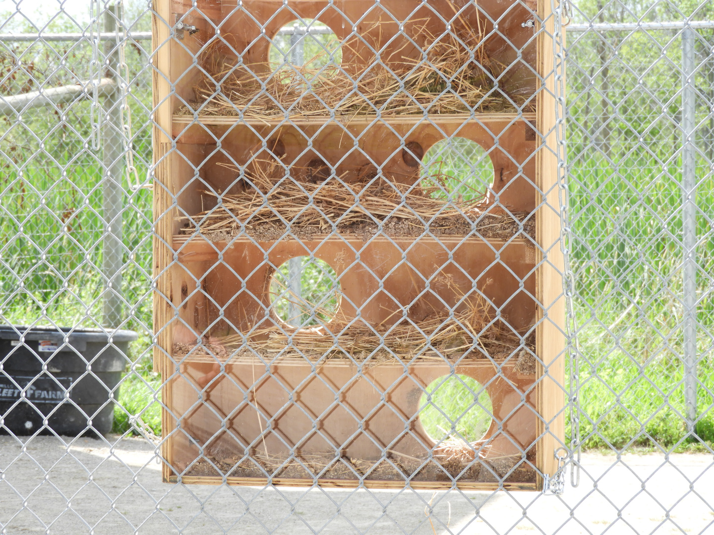 New Giraffe enrichment items